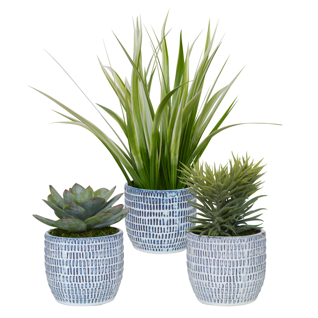 Puebla - Greenery In Blue & White Pots, Set Of 3 - Green
