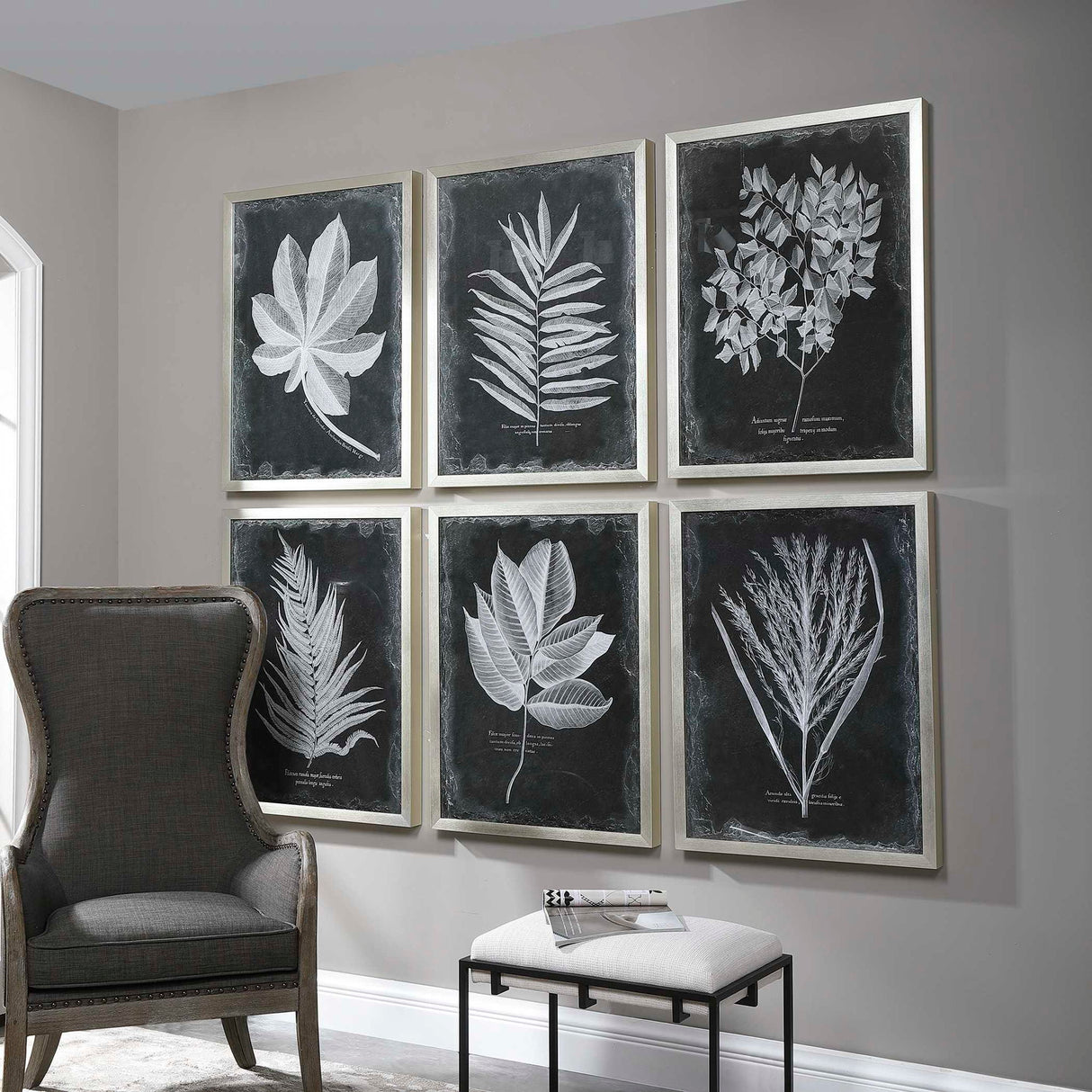 Foliage - Framed Prints, Set Of 6 - Black
