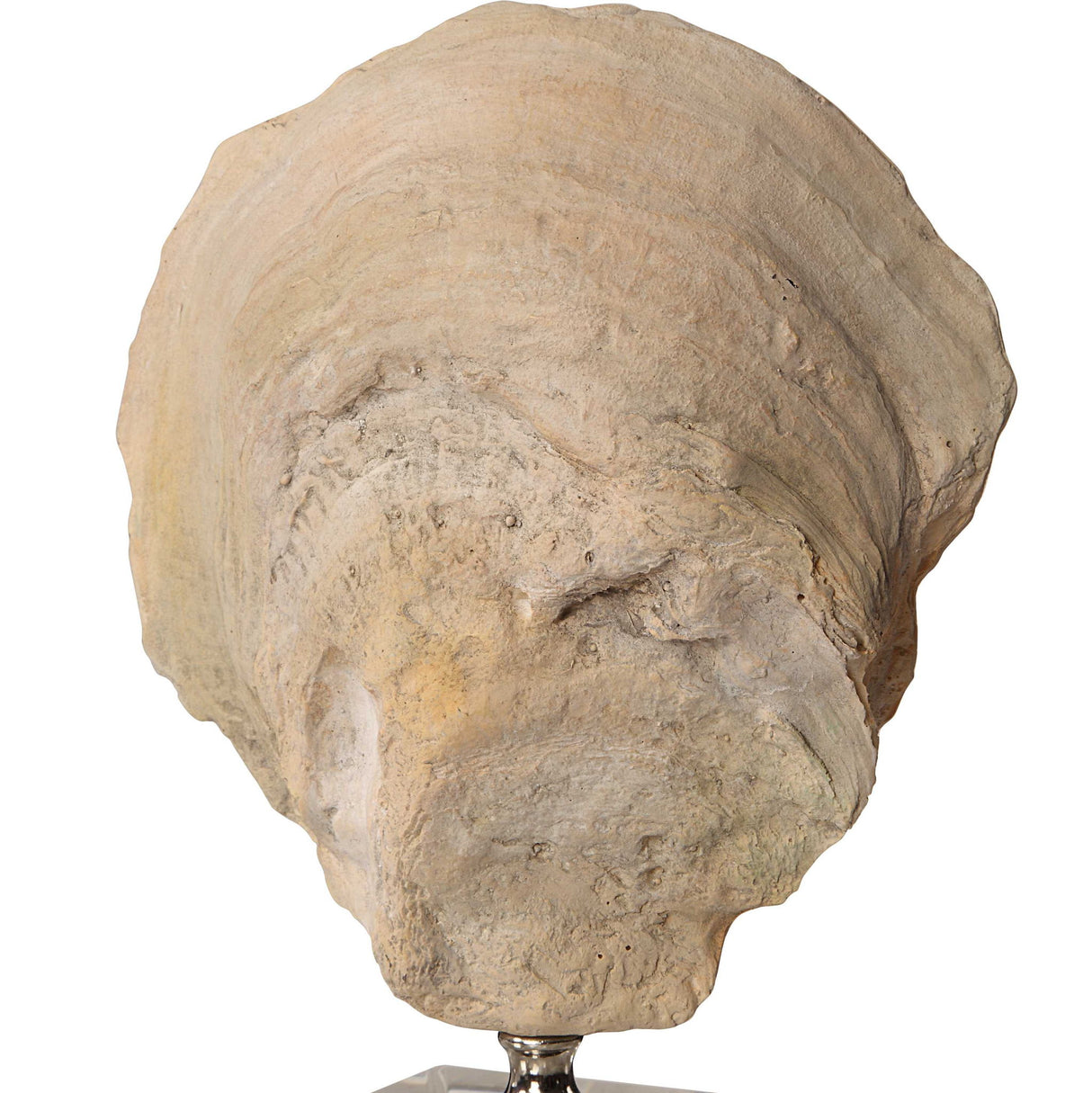 Oyster - Shell Sculptures, Set Of 2 - Beige