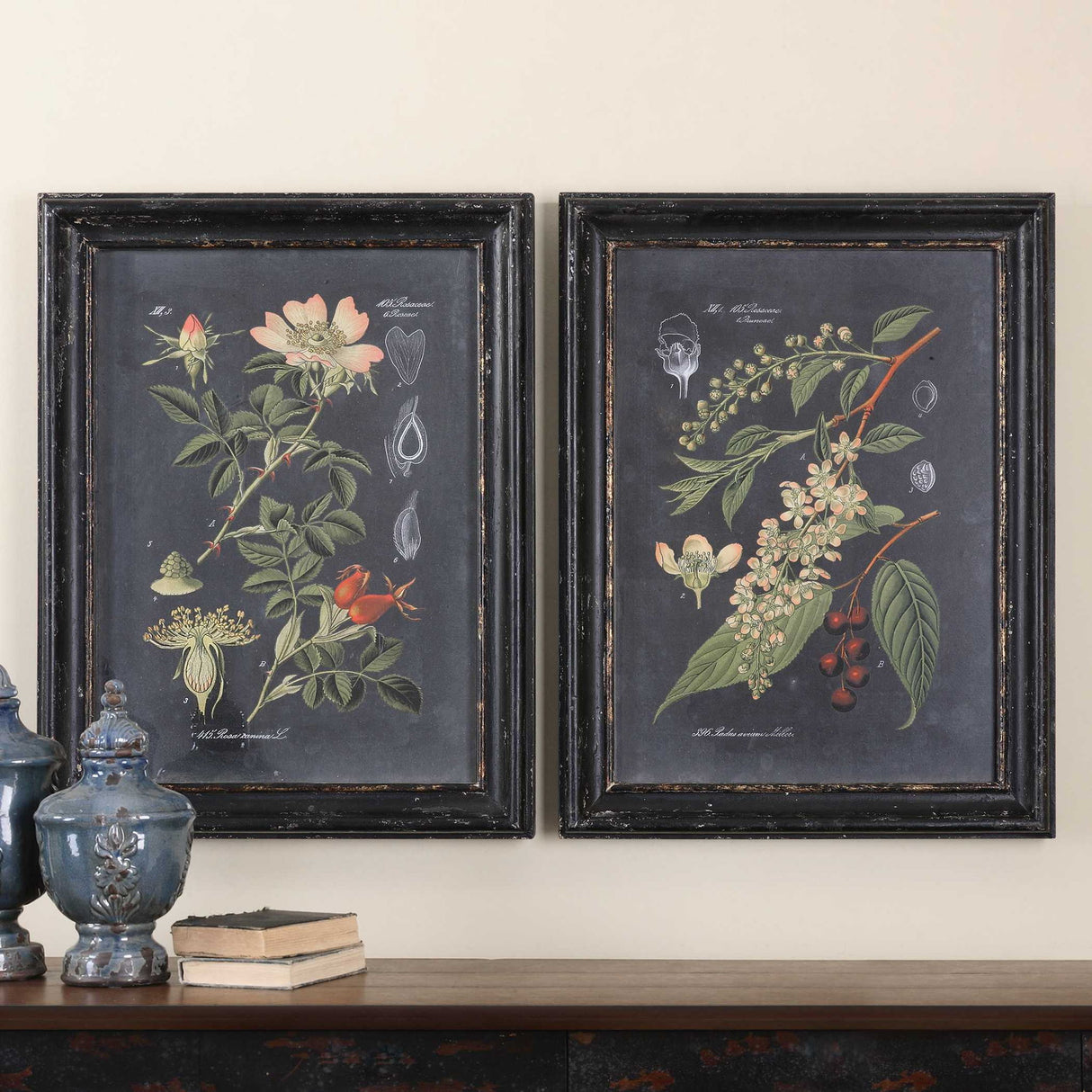 Midnight Botanicals - Wall Art, Set Of 2 - Black