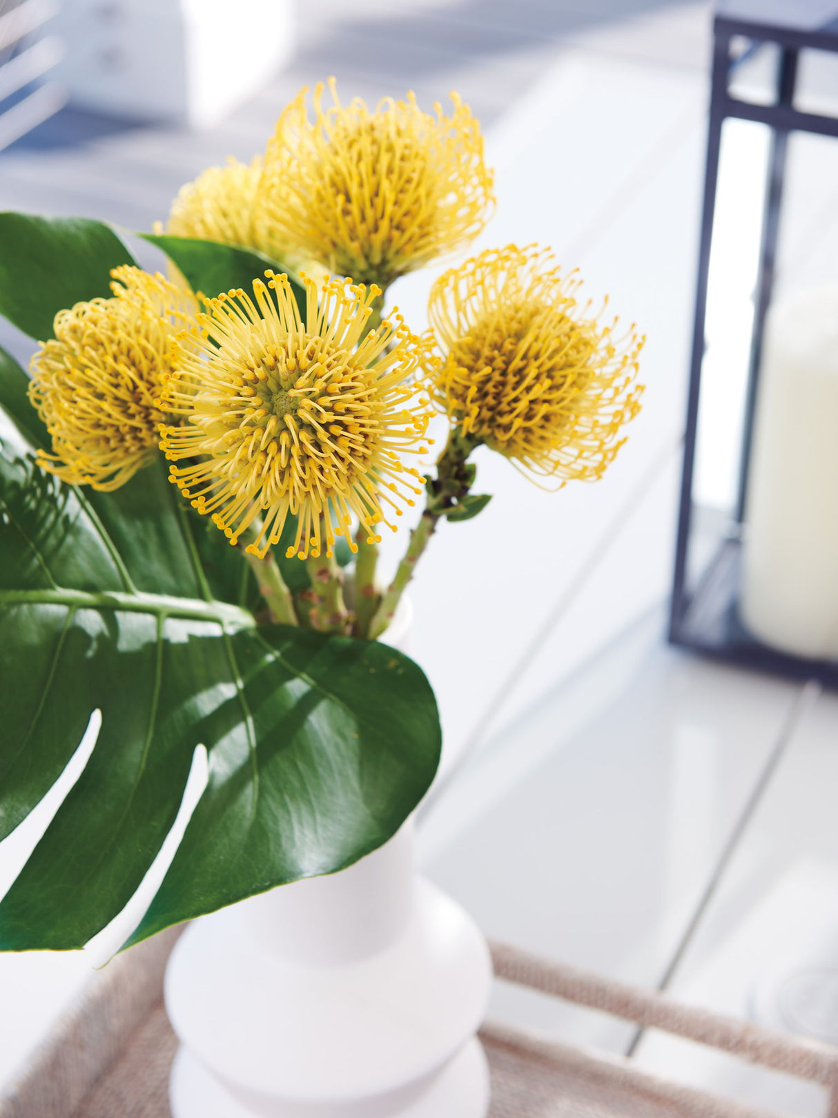 Seabrook - Rectangular Dining Table - White
