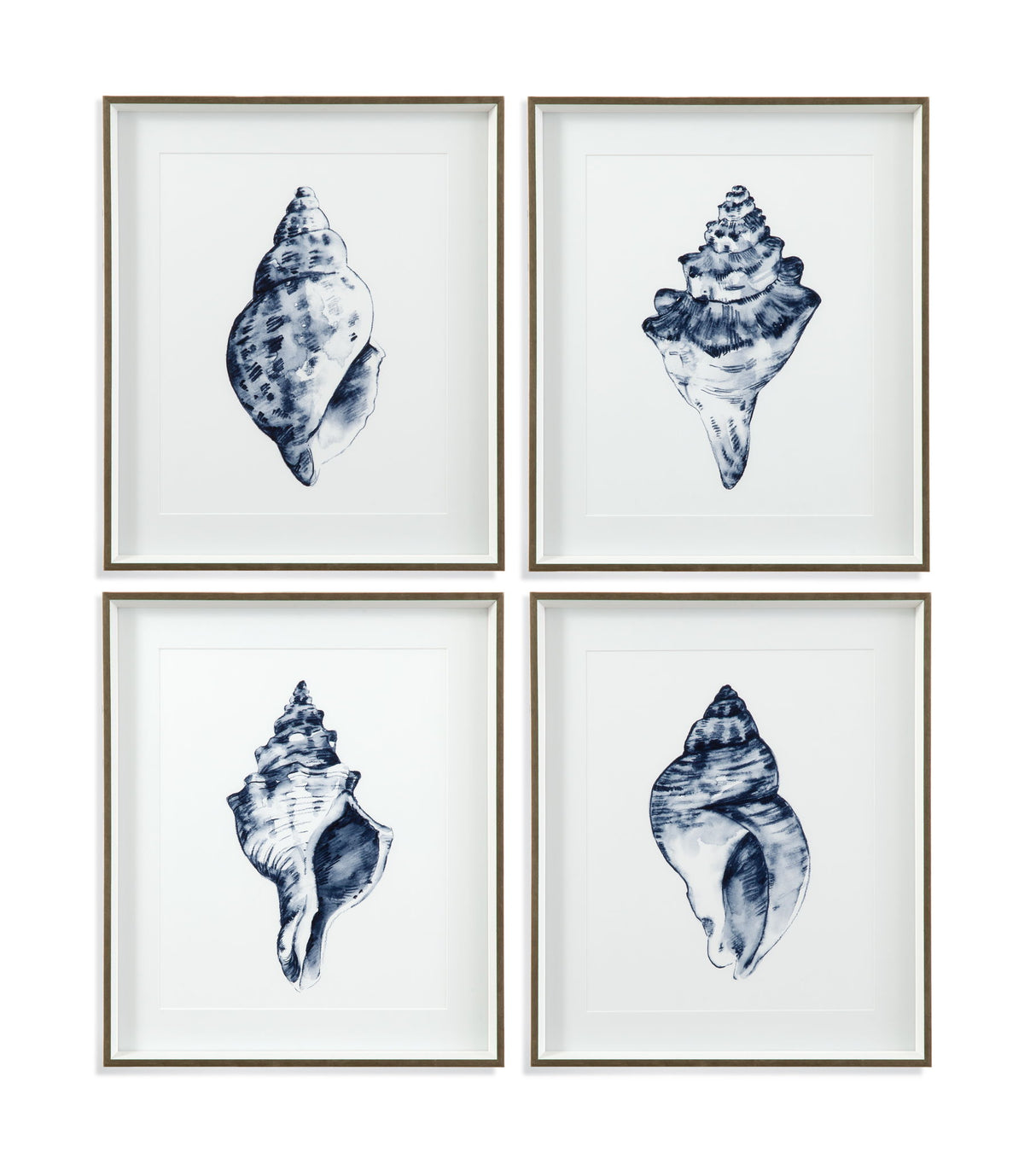 Quiet Conchin Indigo II Framed Print - Blue