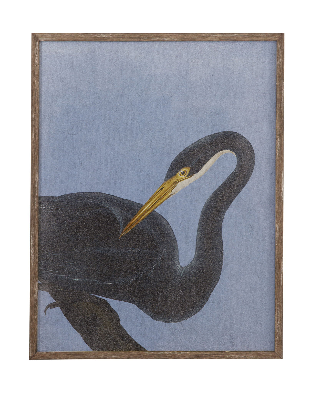 Bayou Heron I Framed Print - Blue / Black