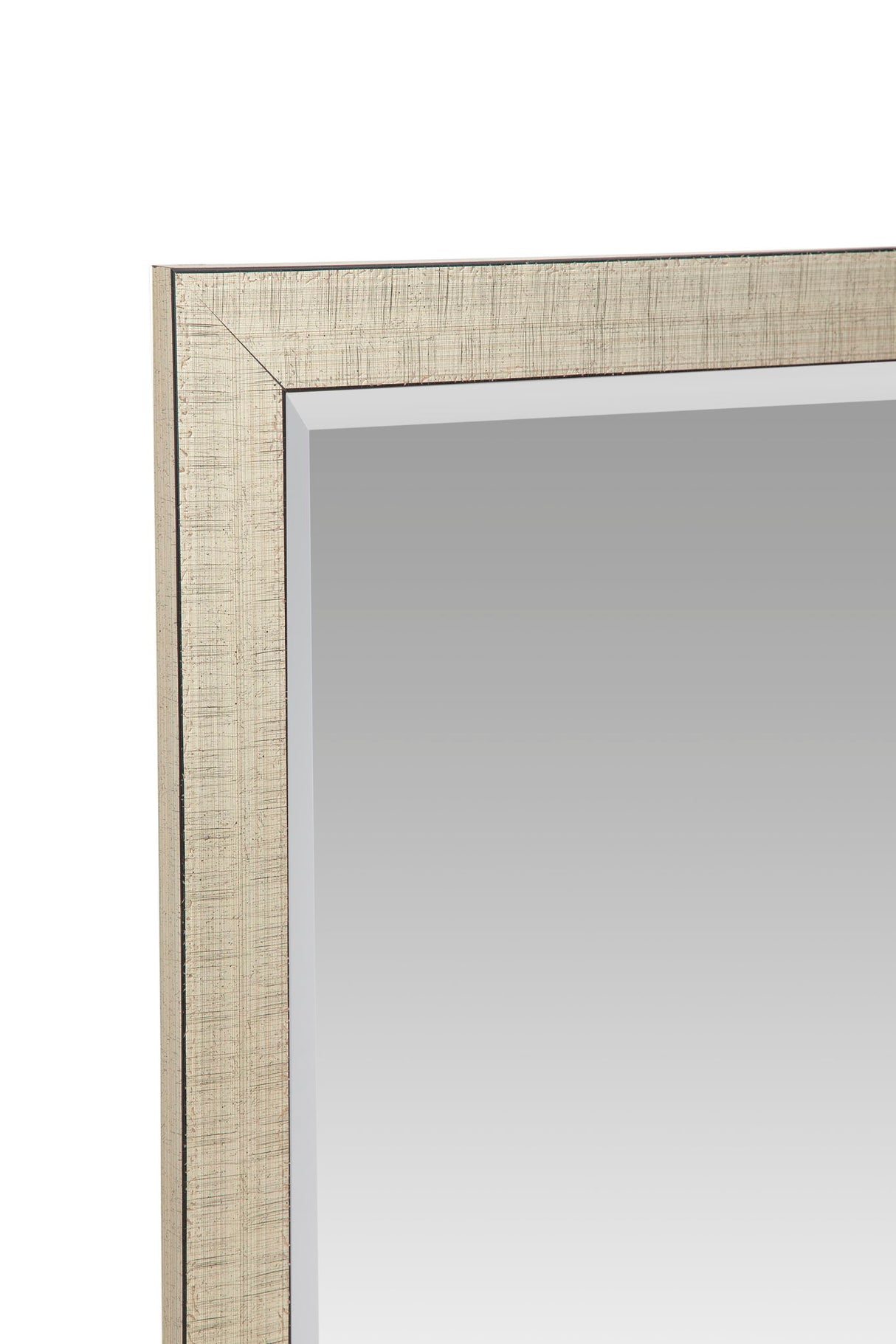 Rachel - Floor Mirror - Silver