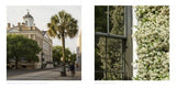 Charleston: A Keepsake Photographs By Antelo Devereux