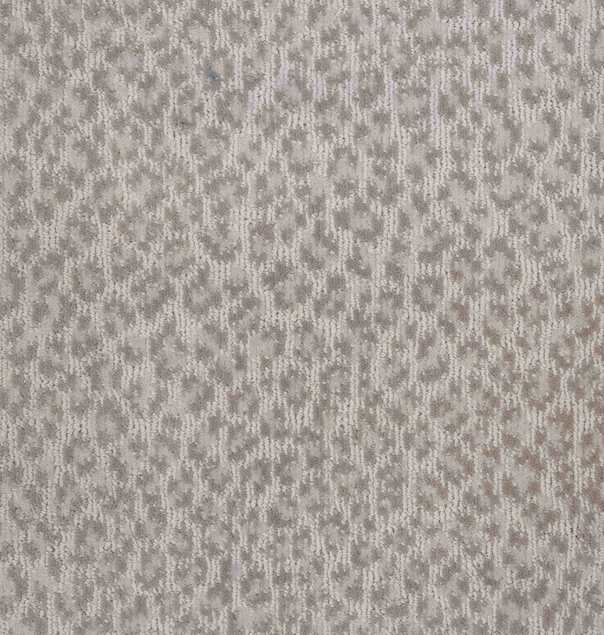 Adventure Area Rug - 10' x 14'