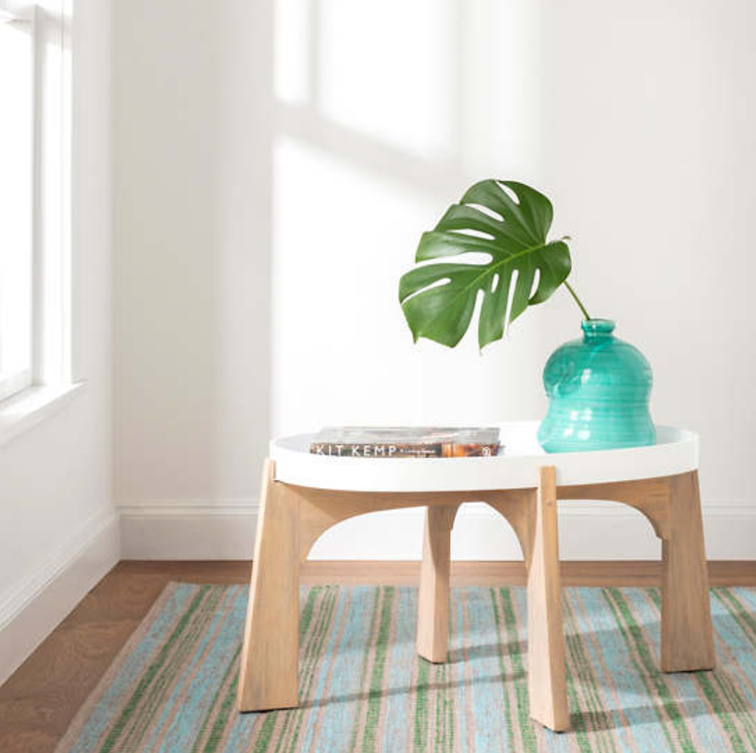 Marty Indoor/Outdoor Area Rug - 5 color options