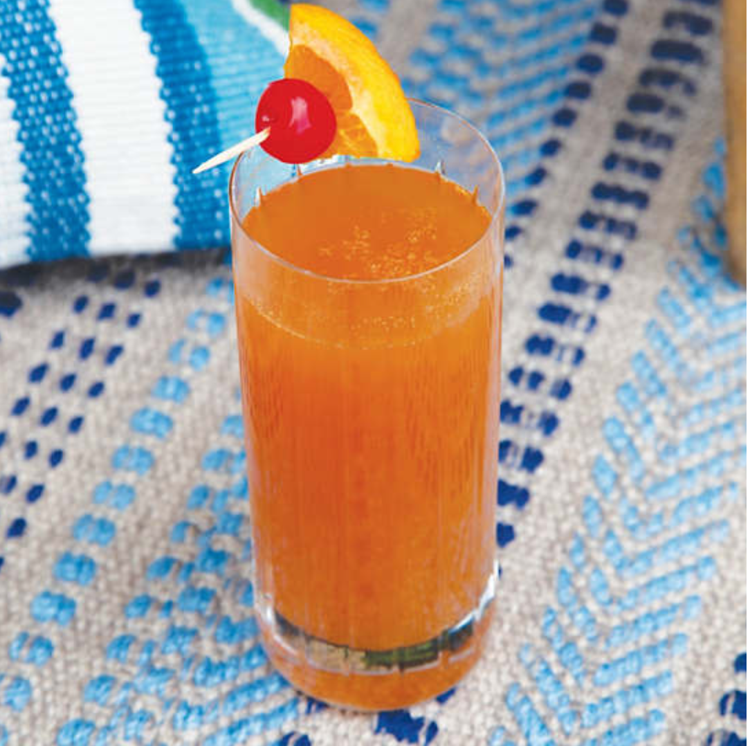 Marty Indoor/Outdoor Area Rug - 5 color options