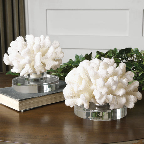 Hard Coral - Sculptures, Set Of 2 - White