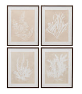 Marine Species Framed Print (Set of 4) - Beige