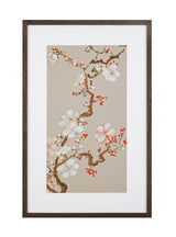 Pear Tree I Framed Print - Cream
