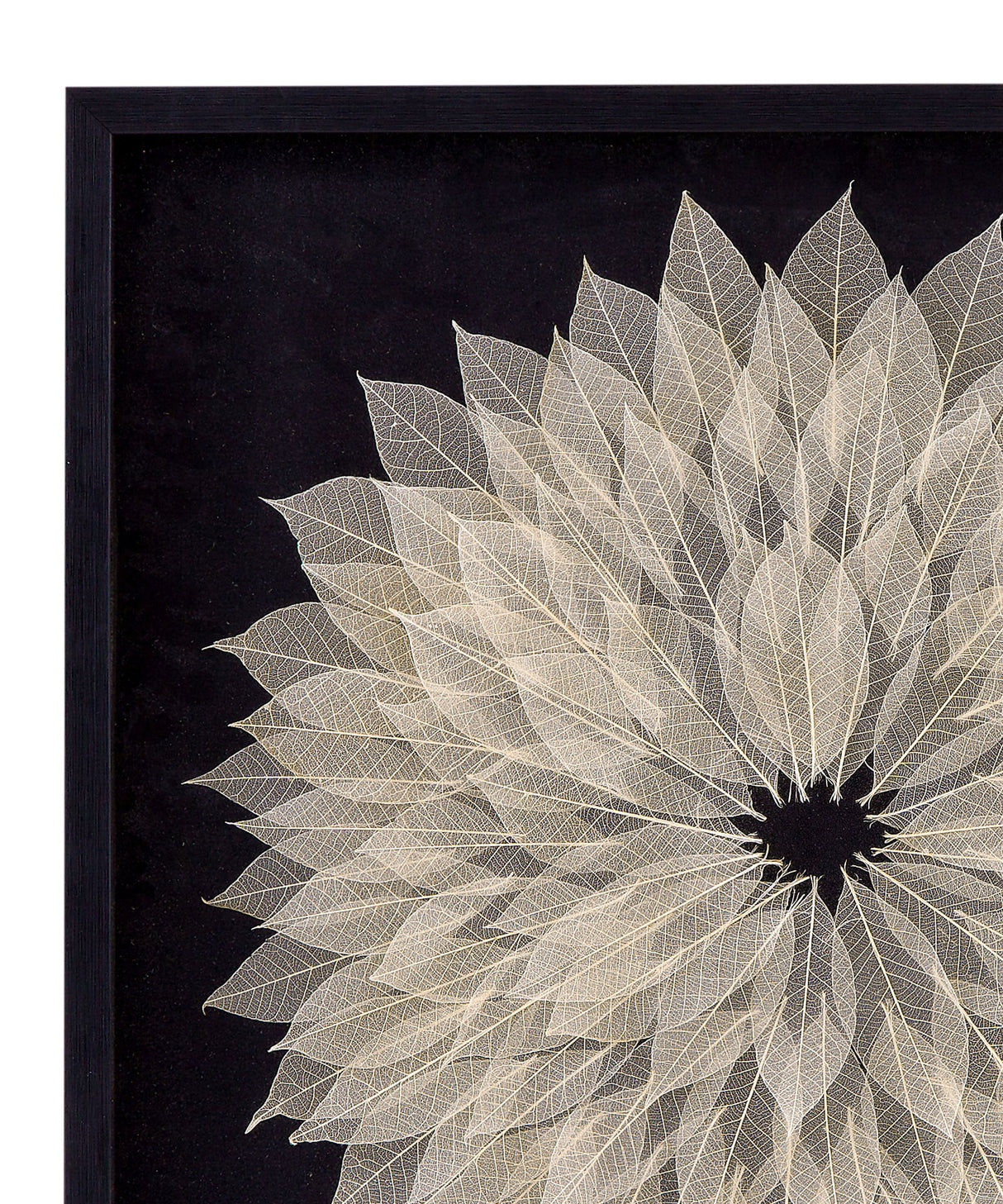 Translucent Leaf Wall Art - Black / Beige