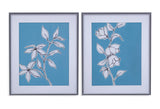 Botanic Drawing Framed Print (Set of 2) - Blue