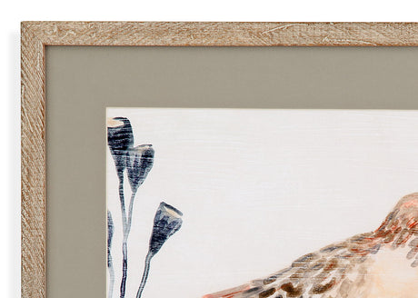 Shell Peppers III Framed Print - White