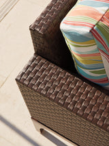 Abaco - Lounge Chair - Dark Brown / Green