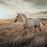 Errolville - Wall Art - Multi