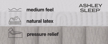 Terra Sleep Medium - Mattress