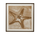 Neutral Starfish Framed Print - Light Brown