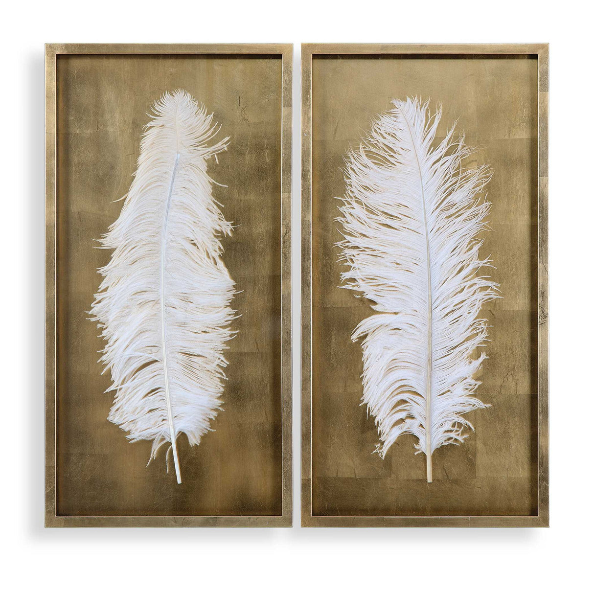 White Feathers - Shadow Box, Set Of 2 - Gold