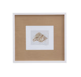 Neutral Shell Fresco II Framed Print - Light Brown / White