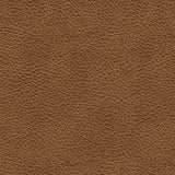 Carianna - Loveseat - Caramel