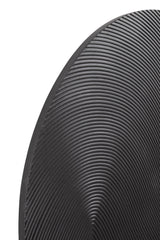 Sundra Canvas Art - Black