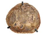 Griffith Park - Large Bunching Table - Black / Gold