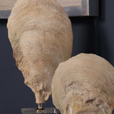 Oyster - Shell Sculptures, Set Of 2 - Beige