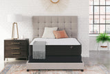 Limited Edition Firm - Mattress