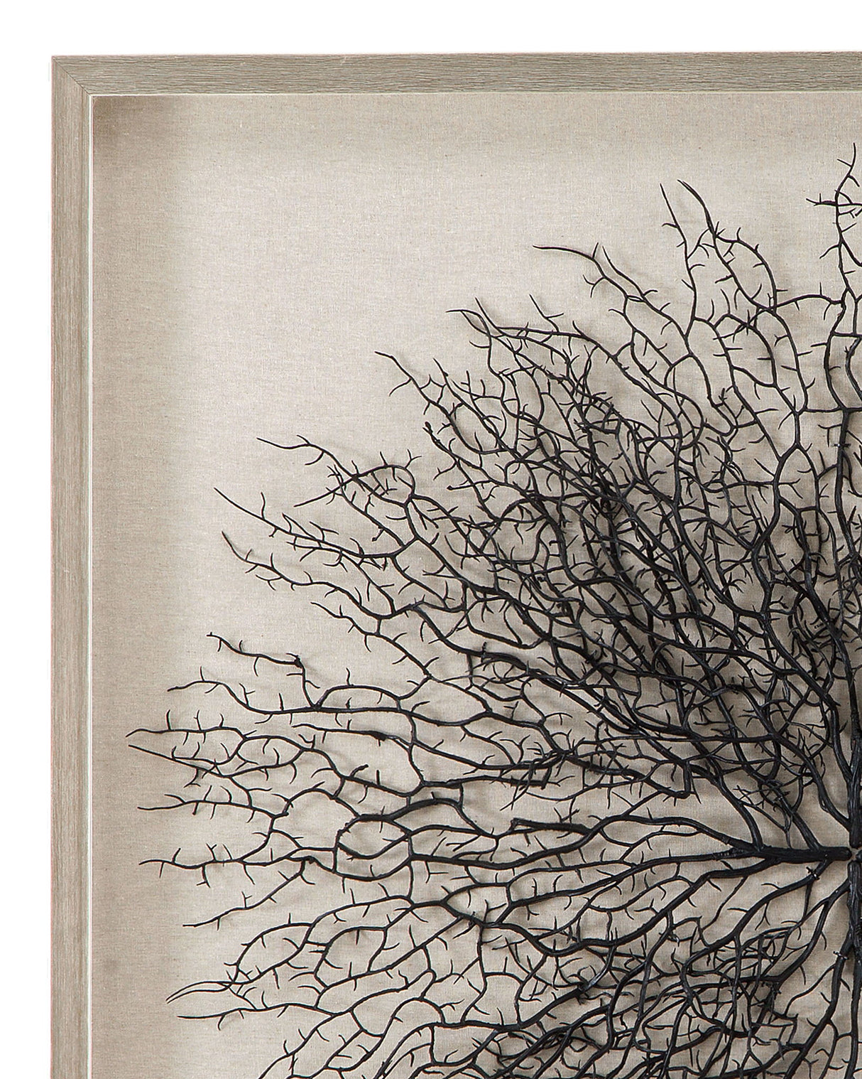 Gracee Canvas Art - Pearl Silver