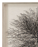 Gracee Canvas Art - Pearl Silver