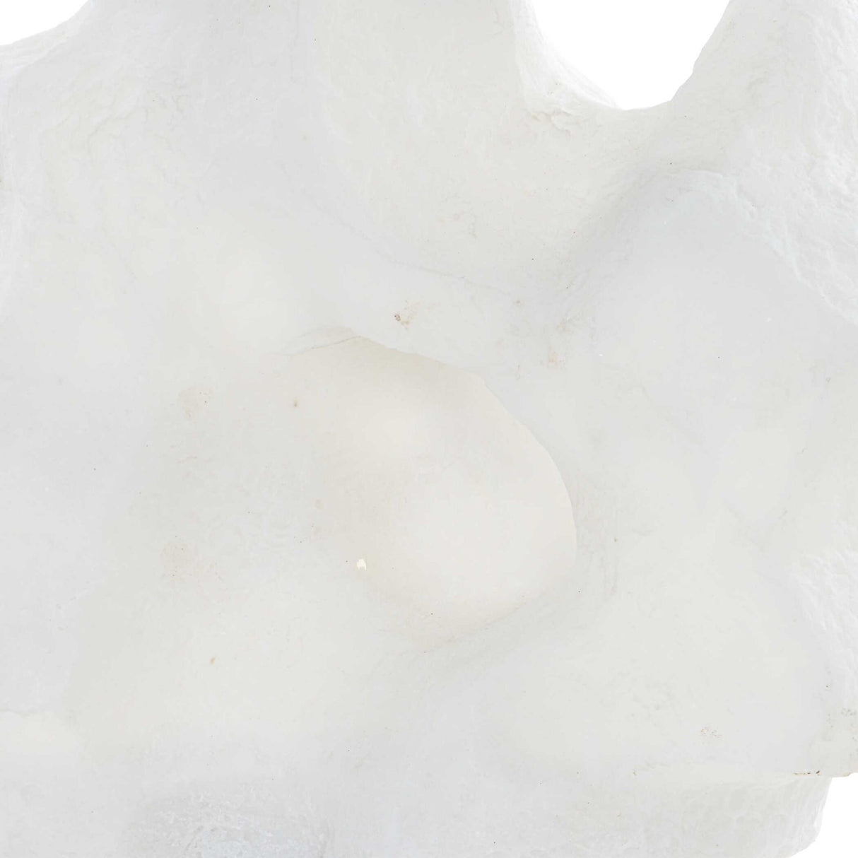 Remnant - Sculptures, Set Of 2 - White