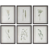 Forest - Finds Framed Prints (Set of 6)