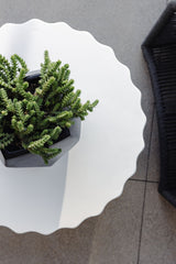 Bazaar - Athena End Table - Bone