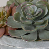Peoria - Succulent Accent - Gray