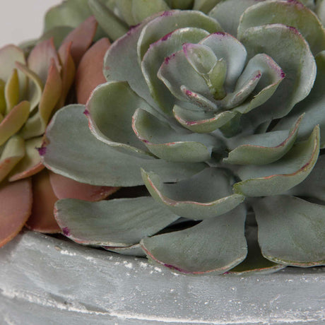 Peoria - Succulent Accent - Gray