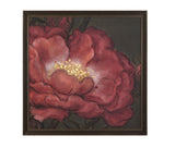 The Secret Garden - Flourish Framed Print - Red