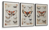 Jossletts - Wall Art Set (Set of 3) - Orange / Black / Ivory