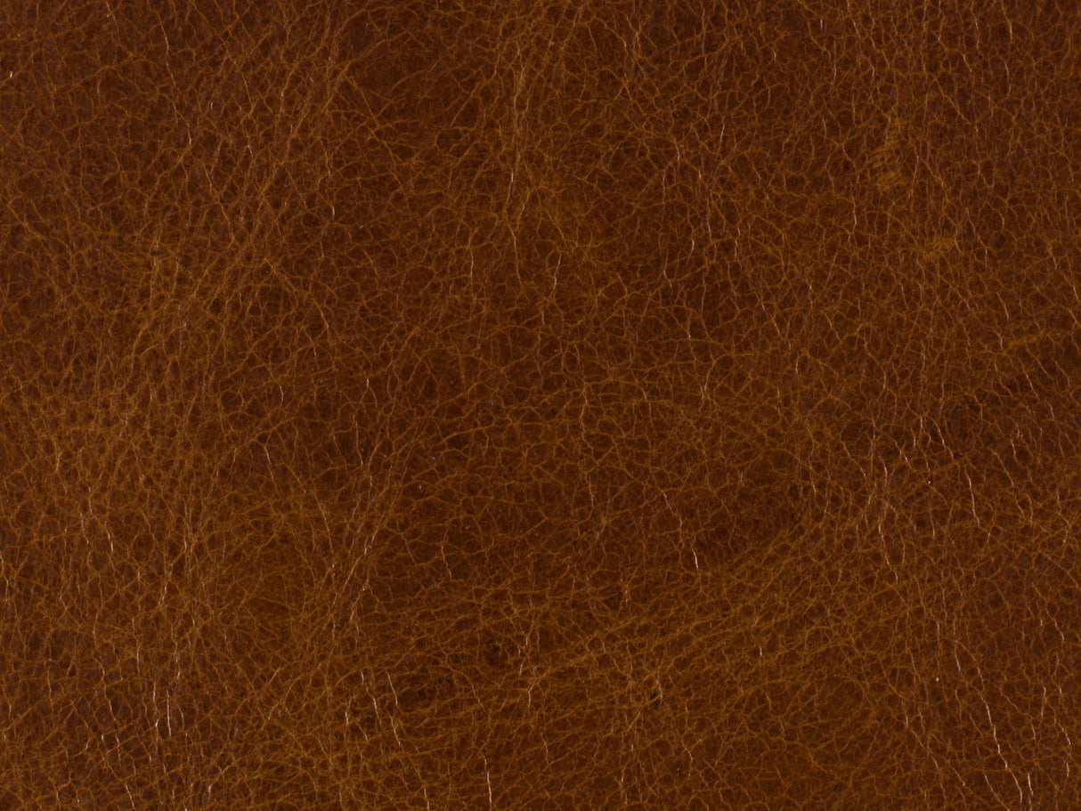 RC - Shasta Recliner