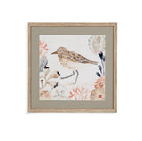 Shell Peppers II Framed Print - White