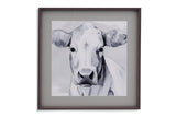 Sweet Face I - Framed Print - Gray
