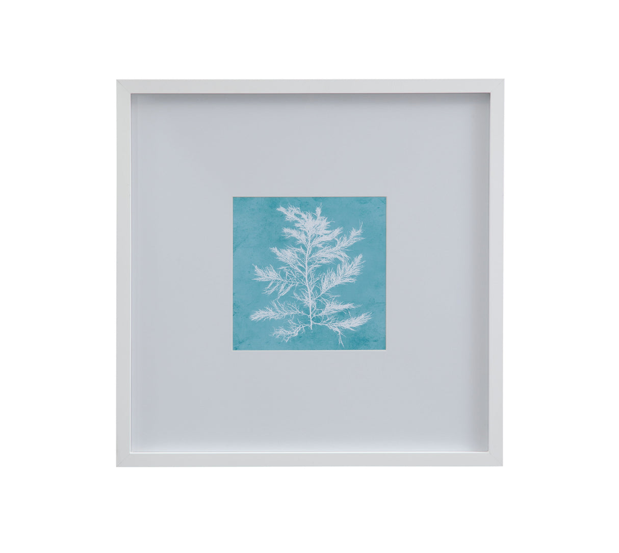 White Coral On Blue IV Framed Print - Blue / White