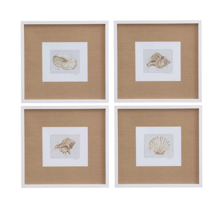 Neutral Shell Fresco I Framed Print - Light Brown / White