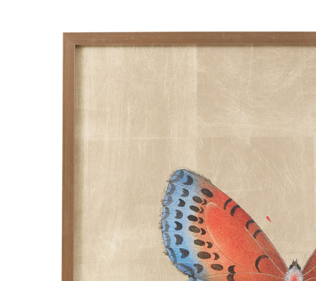 Papilio Luxe Aestas Framed Print - Orange / Blue / Tan