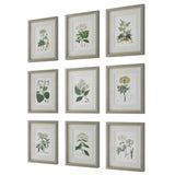 Antique - Botanicals Framed Prints (Set of 9)