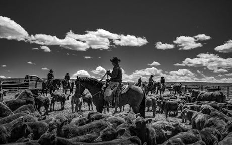 Ranchland: Wagonhound By Anouk Masson Krantz