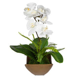Transcend - Orchid Centerpiece - Gold