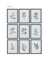 Farmhouse Florals - Framed Prints, Set Of 9 - Black