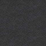Axtellton - Carbon - Power Reclining Sofa