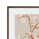Pear Tree II Framed Print - Cream